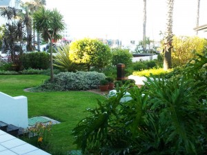 patio 2
